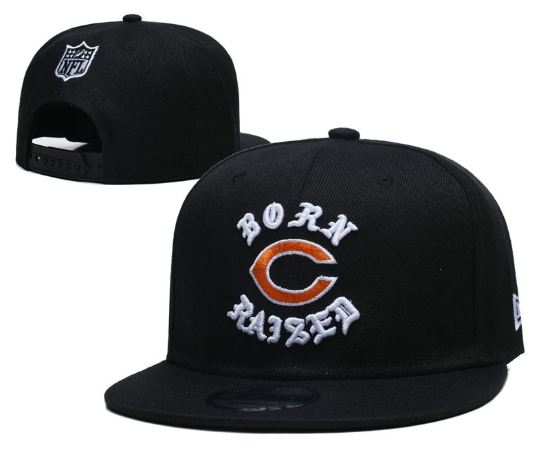 2025 NFL Chicago Bears Hat YS2025411->nfl hats->Sports Caps